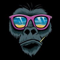 NEW KING SOLOMON (@iam_dotchy) 's Twitter Profile