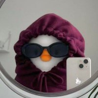 ππΈπ²πΏπ»πΈπ½ (@camus_nemo) 's Twitter Profile