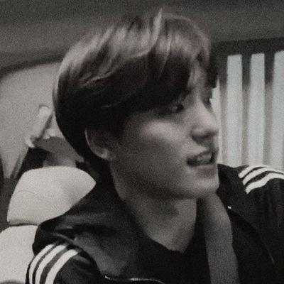 ijungchanie's profile picture. akun untuk mencintai @pledis_17 dan baca au🫣 || CARAT ONLY!🩷🩵