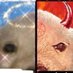 Charma, YOUR Fox π§‘ (@charmafoxwood) Twitter profile photo Charma, YOUR Fox π§‘ (@charmafoxwood) Twitter profile photo