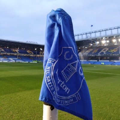 davidwi03103618's profile picture. ⚽️👏⚽️ EFC & Football 💙