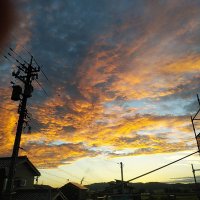 塗り子 (@nnn6116aaa) 's Twitter Profile Photo