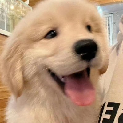LWRYG699's profile picture. 