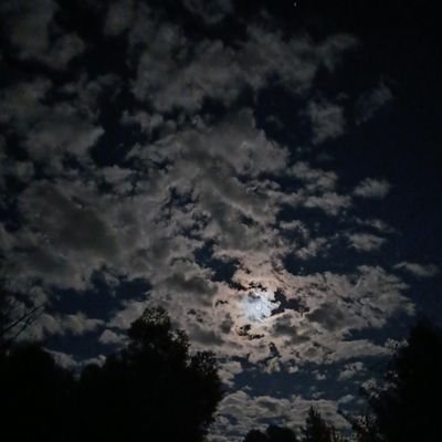 _aj_530's profile picture. 