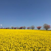 Yorkshire Wolds Weather (@weatherwolds) 's Twitter Profile Photo Yorkshire Wolds Weather (@weatherwolds) 's Twitter Profile Photo
