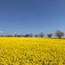 Yorkshire Wolds Weather (@weatherwolds) Twitter profile photo Yorkshire Wolds Weather (@weatherwolds) Twitter profile photo