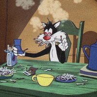 Boubker (@6__boubker) 's Twitter Profile