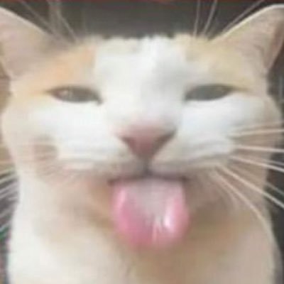 Melonさんのプロフィール画像