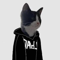 tossmyambitions (@tossmyambitions) 's Twitter Profile