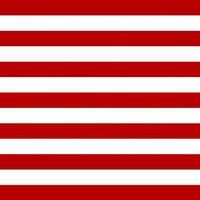 Dan Scavino Jr.🇺🇸🦅✪ (@meetjrscavino01) Twitter profile photo