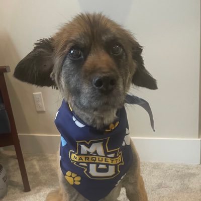 Marquette & IU https://t.co/2KSX8tN7AY lover, cat skeptic. Left my gall bladder in Colorado, appendix in https://t.co/ycFNcTZ8a8 Sports/TV industry for 30 years. Family first. Libertarian