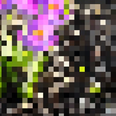 phi_on_x's profile picture. shift in perspective