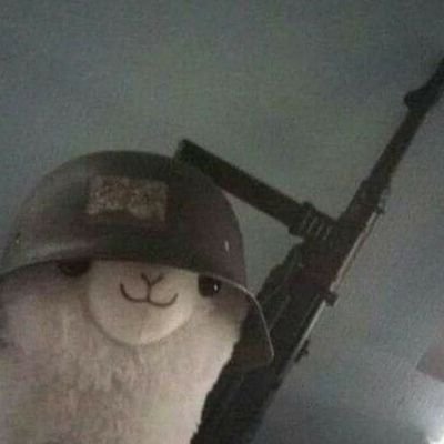 Stiven77277496's profile picture. 