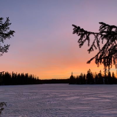 oberon31819013's profile picture. Here for the 🍆 and the 🍑