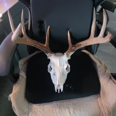 RANDYKATT5's profile picture. America First! Veteran, Hunt, Fish, Gardening.