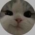 maks (@maks53767625) Twitter profile photo maks (@maks53767625) Twitter profile photo