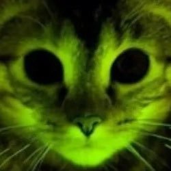 spander00's profile picture. 19 m W: 2 L: 1 dms are wide open for anything