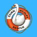 Cuan Wildlife Rescue (@cuanwildlife) Twitter profile photo Cuan Wildlife Rescue (@cuanwildlife) Twitter profile photo