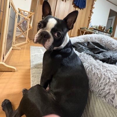 IJNgento0202's profile picture. 