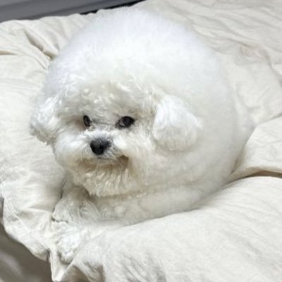 Fragpunk3107's profile picture. 