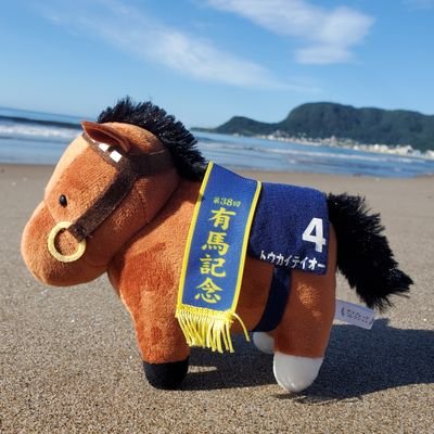 ウマ娘と競馬をよく観てたり、ウマコスしてる人。あとプロ野球観戦中は常に飲酒をしています(西武とヤクルト)/SNSに向いてない方(例:ブロック機能の存在を理解してない人)は、非常に迷惑になります。関わらないでください。