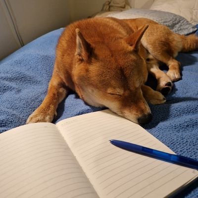 socialscilove's profile picture. 