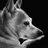 banditdogOG's profile image
