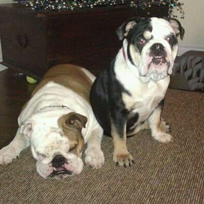 kcjc79's profile picture. 