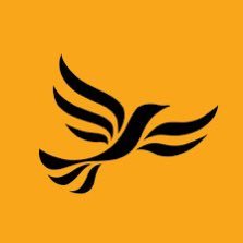 Wandsworth Liberal Democrats 🔶️ Profile