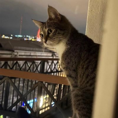 BenChala04's profile picture. 💙FC🥷🏽 your creator listens always just reach out✝️