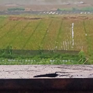 Cahya536's profile picture. The happiest thing was when I got a gift from Airdrop, then I used it for trading and I made 1000% profit, wow, it feels so good ❤️😄🇮🇩