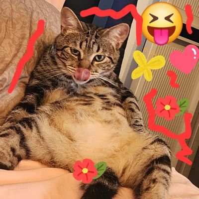 merhabauk's profile picture. 