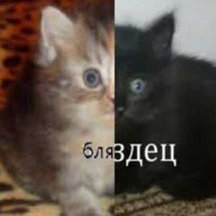 Anna72586275069's profile picture. 