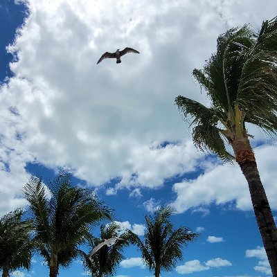 projectslackz's profile picture. "He is the Morgan Freeman of radio" - One cool dude