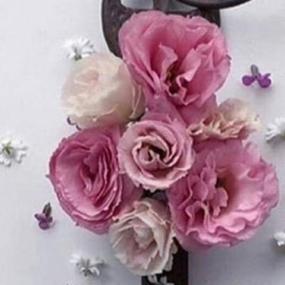 safiaymy's profile picture. استغفر الله