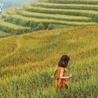Jeythough (@jeythoughc8lc5) 's Twitter Profile