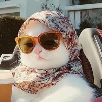 𝐒 𓂀 (@shaxdit) 's Twitter Profile Photo 𝐒 𓂀 (@shaxdit) 's Twitter Profile Photo