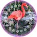 tom_com (@tom_com33) Twitter profile photo tom_com (@tom_com33) Twitter profile photo