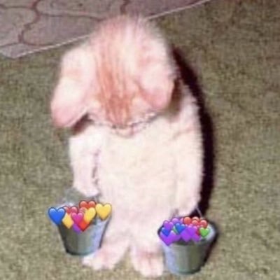 ethan34up's profile picture. Loyalty first, then love .