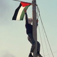 Abdullah (@abdullah_a1780) 's Twitter Profile Photo Abdullah (@abdullah_a1780) 's Twitter Profile Photo