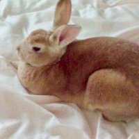 ๐๐ญ๐น๐ถ๐๐๐ณ๐๐น ๐ฟ๐ฒ๐ป๐ฑ๐ฒ๐๐๐ผ๐๐ (@sandyheeron) 's Twitter Profile