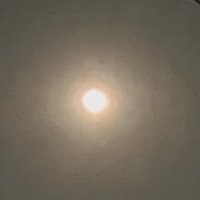 손지상(孫志尚, Son Jeeh-Sahng) (@doskharaas) 's Twitter Profile Photo 손지상(孫志尚, Son Jeeh-Sahng) (@doskharaas) 's Twitter Profile Photo