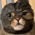 @Sacatripas (@sacatripas99014) Twitter profile photo @Sacatripas (@sacatripas99014) Twitter profile photo