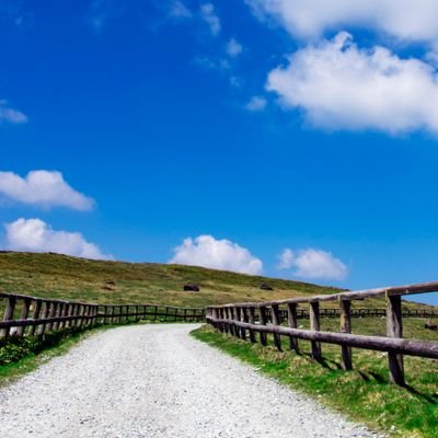 kemikru165's profile picture. 