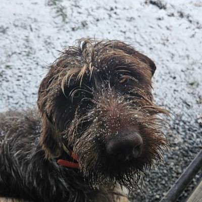 Clem5618's profile picture. 