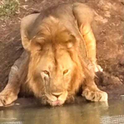 docemilewakim's profile picture. 