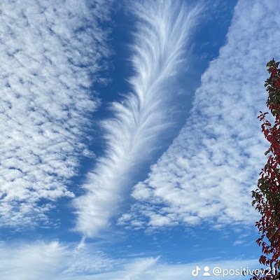 LBritches17's profile picture. Live,Love,Learn,Laugh  Believe , Be truthful, Loyal  Respect.