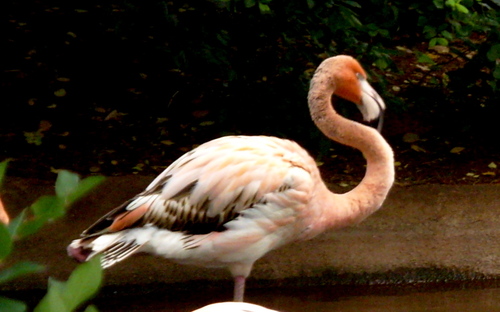 happyfishbowl's profile picture. 