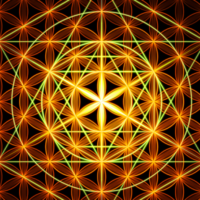 josh46119674028's profile picture. 