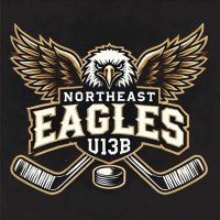 EaglesU13B (@neeaglesu13b) 's Twitter Profile Photo